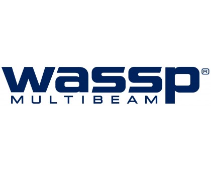 Лицензируемые функции для WASSP