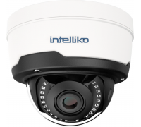INT-VIPBC20-B09: 2 Мп купольная IP-видеокамера (2.7-13.5 мм) с ИК-подсветкой до 45м