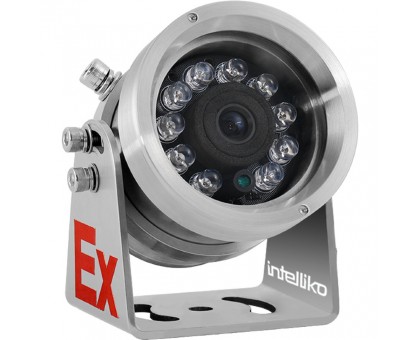 INT-VEXBC10A-05 (RM-FA10-IEBC02-6M): Взрывозащищённая мини IP видеокамера (6мм)